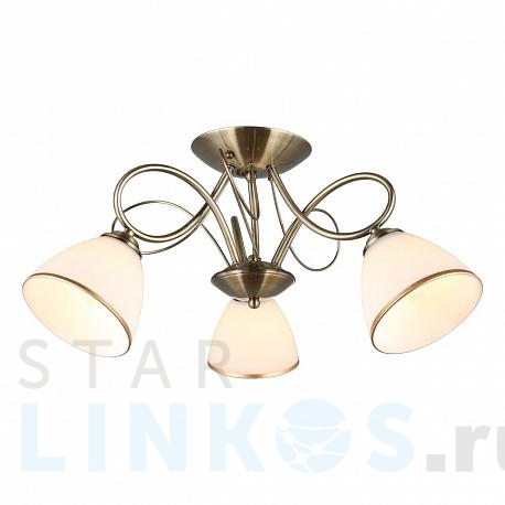 Купить Потолочная люстра Omnilux Alimini OML-25307-03 за 5 700 руб. в Туле фото 2 Купить с доставкой Потолочная люстра Omnilux Alimini OML-25307-03 в Туле фото 2