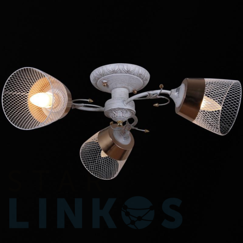 Купить Потолочная люстра Reluce 31220-0.3-03 за 2 580 руб. в Туле Купить с доставкой Потолочная люстра Reluce 31220-0.3-03 в Туле