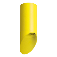 Купить Потолочный светильник Lightstar Rullo (214433+201433) R43333 в Туле