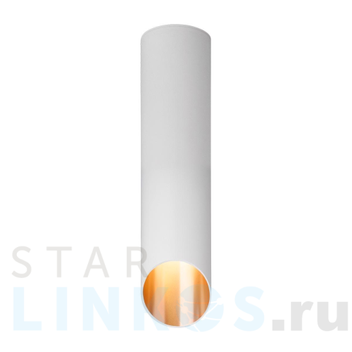 Купить Потолочный светильник Elektrostandard DLN115 GU10 белый/золото a050121 за 1 280 руб. в Туле Купить с доставкой Потолочный светильник Elektrostandard DLN115 GU10 белый/золото a050121 в Туле