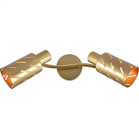 Купить Спот Reluce 05970-0.8-02 GOLD в Туле