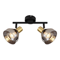 Купить Спот Rivoli Kinge 7036-702 Б0052875 в Туле