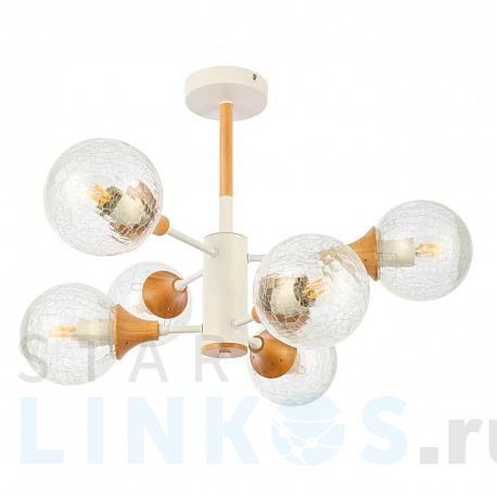 Купить Потолочная люстра Evoluce Lione SLE109502-06 за 12 290 руб. в Туле фото 2 Купить с доставкой Потолочная люстра Evoluce Lione SLE109502-06 в Туле фото 2