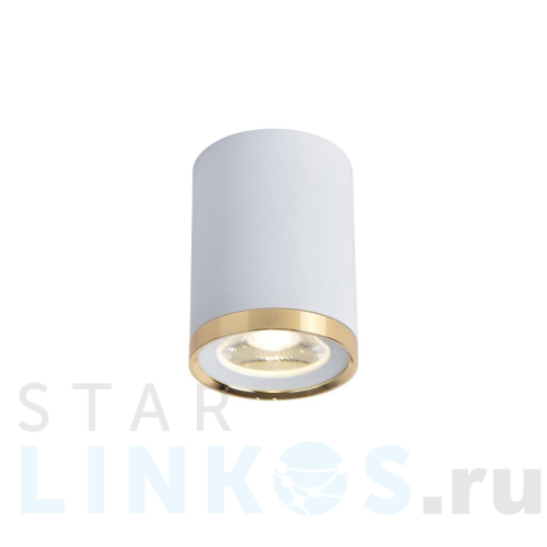 Купить Потолочный светильник Favourite Prakash 3085-1C за 3 400 руб. в Туле Купить с доставкой Потолочный светильник Favourite Prakash 3085-1C в Туле