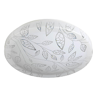 Купить Потолочный светодиодный светильник ЭРА Сюзи SPB-6-24-4K (C) Б0019810 в Туле