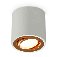 Купить Комплект накладного светильника Ambrella light Techno Spot XS7533004 SGR/PYG серый песок/золото желтое полированное (C7533, N7004) в Туле