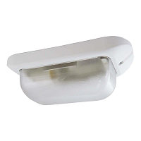 Купить Настенно-потолочный светильник TDM Electric НБП 01-60-006 SQ0312-0009 в Туле