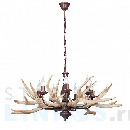 Купить Подвесная люстра Vitaluce V1493/7 за 33 866 руб. в Туле фото 2 Купить с доставкой Подвесная люстра Vitaluce V1493/7 в Туле фото 2