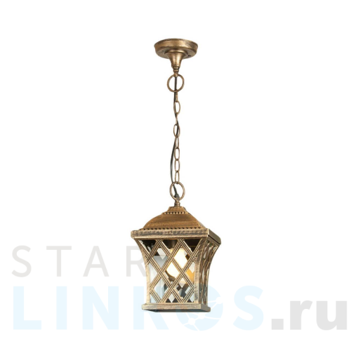 Купить с доставкой Уличный подвесной светильник Elektrostandard Cassiopeya a025297 в Туле