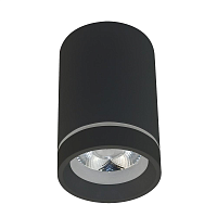Купить Потолочный светодиодный светильник Aployt Edda APL.0054.19.10 в Туле