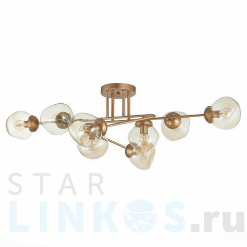 Купить Потолочная люстра Evoluce More SLE155702-08 за 13 720 руб. в Туле Купить с доставкой Потолочная люстра Evoluce More SLE155702-08 в Туле