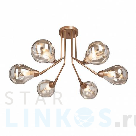 Купить Потолочная люстра Vitaluce V4870-8/6PL за 11 907 руб. в Туле фото 2 Купить с доставкой Потолочная люстра Vitaluce V4870-8/6PL в Туле фото 2