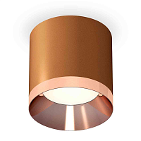 Купить Комплект накладного светильника Ambrella light Techno Spot XS7404011 SCF/PPG кофе песок/золото розовое полированное (C7404, N7035) в Туле