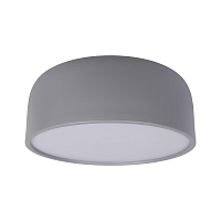 Купить Потолочный светодиодный светильник Loft IT Axel 10201/350 Grey в Туле