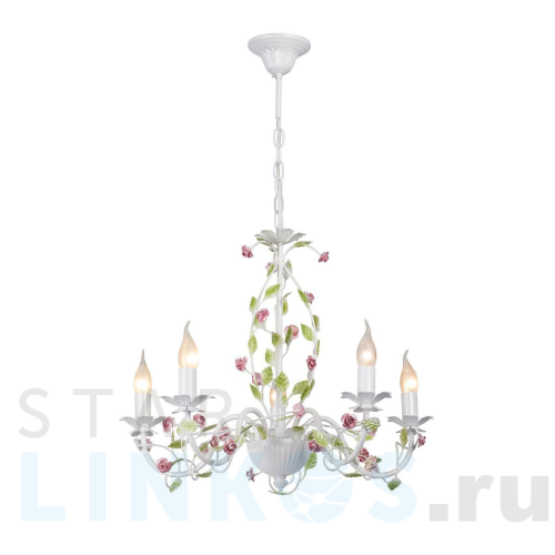 Купить Подвесная люстра Vitaluce V1796-0/5 за 15 955 руб. в Туле Купить с доставкой Подвесная люстра Vitaluce V1796-0/5 в Туле