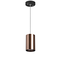 Купить Подвесной светильник Lightstar Rullo (214430+590057) RP430 в Туле