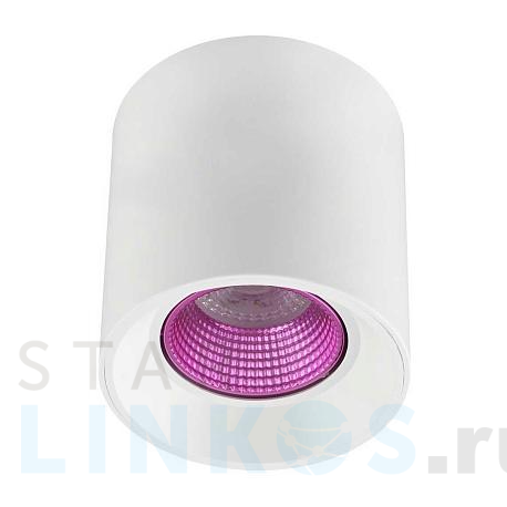 Купить Потолочный светильник Denkirs DK3020WPI DK3090-WH+PI за 1 739 руб. в Туле фото 2 Купить с доставкой Потолочный светильник Denkirs DK3020WPI DK3090-WH+PI в Туле фото 2