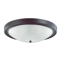 Купить Настенно-потолочный светильник Lumion Vintage Nina 5260/4C в Туле