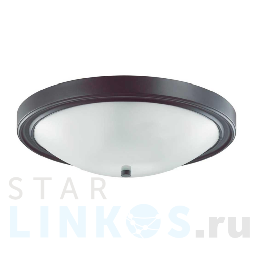 Купить Настенно-потолочный светильник Lumion Vintage Nina 5260/4C за 4 400 руб. в Туле Купить с доставкой Настенно-потолочный светильник Lumion Vintage Nina 5260/4C в Туле