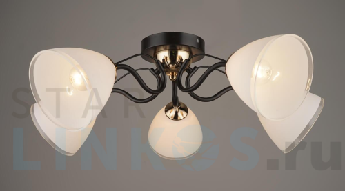 Купить Потолочная люстра Hiper Cleo H210-5 за 4 762 руб. в Туле Купить с доставкой Потолочная люстра Hiper Cleo H210-5 в Туле