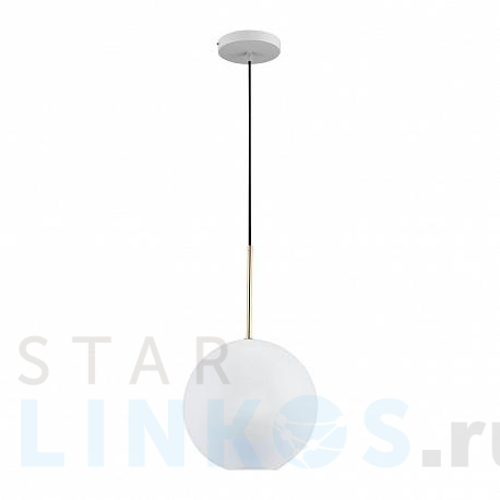 Купить Подвесной светильник Loft IT Bolle 2030-P1 за 10 930 руб. в Туле фото 2 Купить с доставкой Подвесной светильник Loft IT Bolle 2030-P1 в Туле фото 2