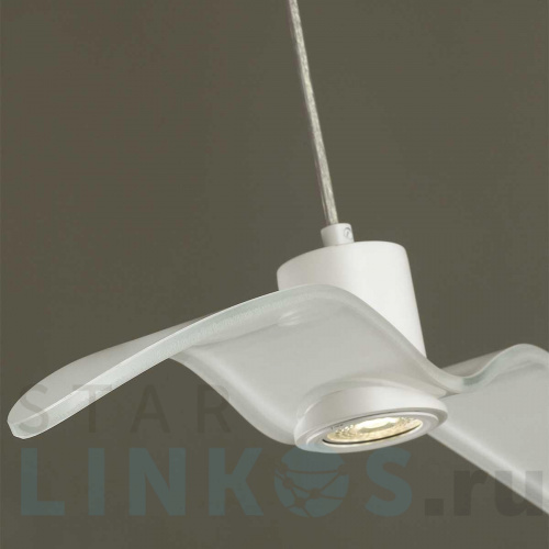 Купить Подвесной светильник Odeon Light Pendant Birds 4904/1B за 9 960 руб. в Туле фото 3 Купить с доставкой Подвесной светильник Odeon Light Pendant Birds 4904/1B в Туле фото 3