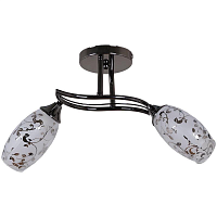 Купить Потолочный светильник Reluce 91200-6.3-02B BKPL в Туле