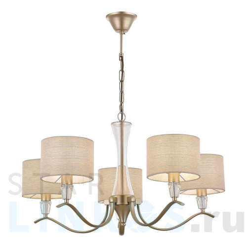 Купить с доставкой Подвесная люстра Evoluce Cassia SLE1126-203-05 в Туле