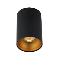 Купить Потолочный светильник Crystal Lux CLT 411C BL-GO в Туле