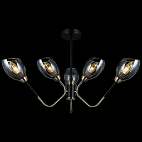 Купить Потолочная люстра Illumico IL9960-6CSQ-79 BK AB в Туле