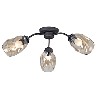 Купить Потолочная люстра Vitaluce V4929-1/3PL в Туле