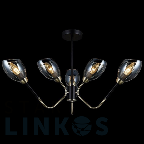 Купить Потолочная люстра Illumico IL9960-6CSQ-79 BK AB за 7 980 руб. в Туле Купить с доставкой Потолочная люстра Illumico IL9960-6CSQ-79 BK AB в Туле