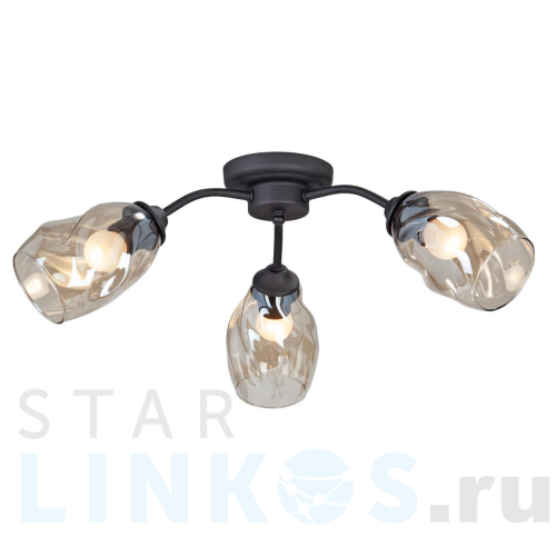 Купить Потолочная люстра Vitaluce V4929-1/3PL за 4 217 руб. в Туле Купить с доставкой Потолочная люстра Vitaluce V4929-1/3PL в Туле