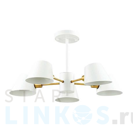 Купить Потолочная люстра Lumion Moderni Kenia 4465/5C за 12 000 руб. в Туле фото 2 Купить с доставкой Потолочная люстра Lumion Moderni Kenia 4465/5C в Туле фото 2