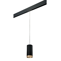 Купить Трековый светильник Lightstar Rullo (216487+595887+203490) PRORP648790 в Туле