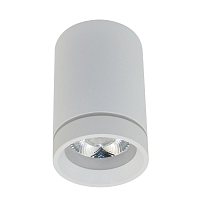 Купить Потолочный светодиодный светильник Aployt Edda APL.0053.09.10 в Туле