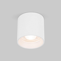 Купить Накладной светодиодный светильник Elektrostandard Orson 25034/LED 10W 4200K белый a062930 в Туле