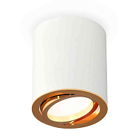 Купить Комплект накладного светильника Ambrella light Techno Spot XS7421003 SWH/PYG белый песок/золото желтое полированное (C7421, N7004) в Туле