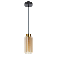 Купить Подвесной светильник Arte Lamp Leo A7027SP-1BK в Туле