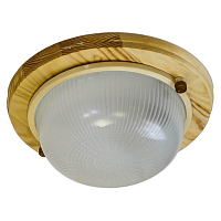 Купить Настенно-потолочный светильник ЭРА Кантри НБО 03-60-011 Б0048413 в Туле