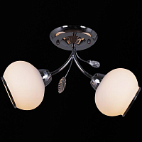 Купить Потолочный светильник Reluce 12443-0.3-02 в Туле