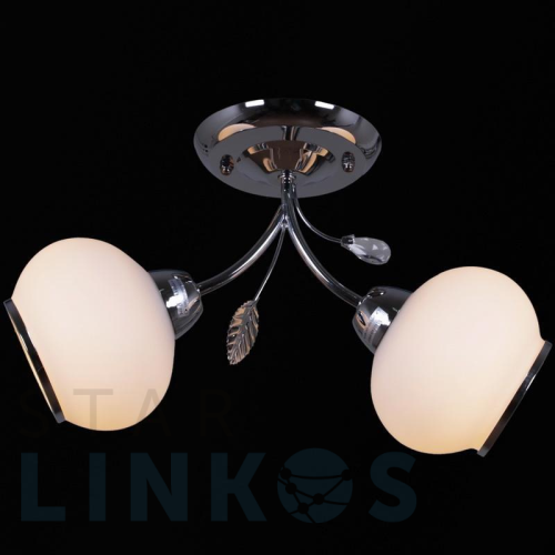 Купить Потолочный светильник Reluce 12443-0.3-02 за 1 500 руб. в Туле Купить с доставкой Потолочный светильник Reluce 12443-0.3-02 в Туле