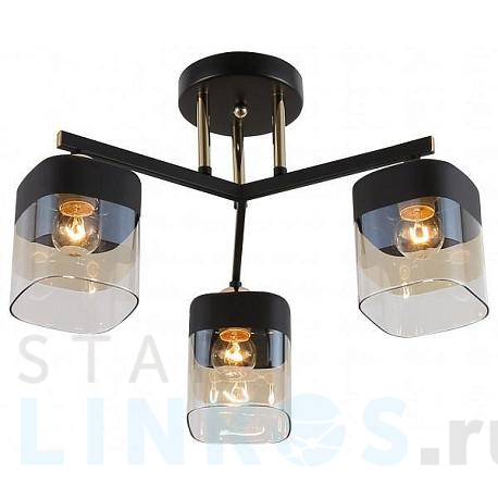 Купить Потолочная люстра Rivoli Isadora 9133-303 Б0054750 за 5 247 руб. в Туле фото 2 Купить с доставкой Потолочная люстра Rivoli Isadora 9133-303 Б0054750 в Туле фото 2