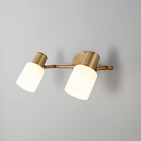 Купить Спот Eurosvet Corso 20089/2 бронза в Туле