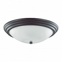 Купить Настенно-потолочный светильник Lumion Vintage Kayla 5263/3C в Туле