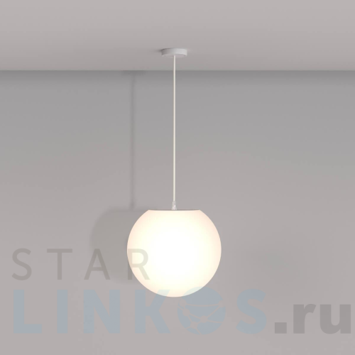 Купить Подвесной светильник Maytoni Erda O594PL-01W за 8 990 руб. в Туле Купить с доставкой Подвесной светильник Maytoni Erda O594PL-01W в Туле
