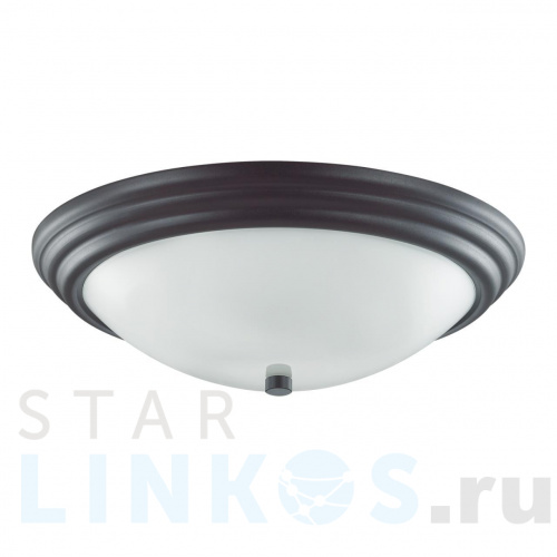 Купить Настенно-потолочный светильник Lumion Vintage Kayla 5263/3C за 2 700 руб. в Туле Купить с доставкой Настенно-потолочный светильник Lumion Vintage Kayla 5263/3C в Туле