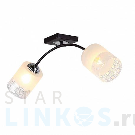 Купить Потолочная люстра Hiper Sally H010-2 за 2 596 руб. в Туле фото 2 Купить с доставкой Потолочная люстра Hiper Sally H010-2 в Туле фото 2