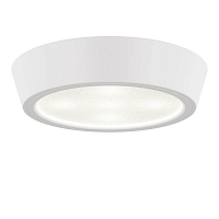 Купить Потолочный светильник Lightstar Urbano Mini LED 214704 в Туле