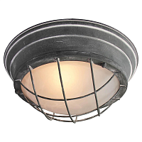 Купить Потолочный светильник Lussole Loft LSP-9881 в Туле